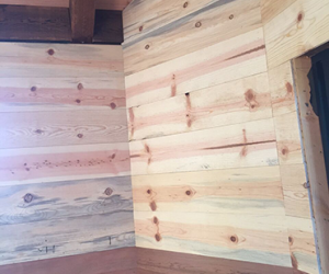 Ponderosa-Pine-Above-Redwood_preview
